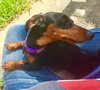 Mortimer 