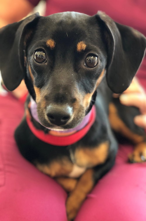 Coco Chanel