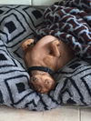 Hugo 