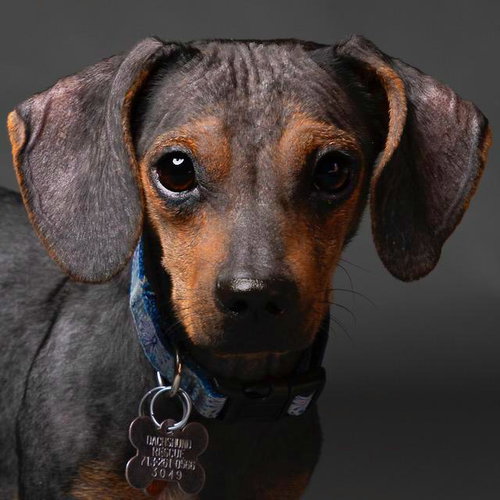 Buster Weiman