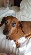 Ruby Rayburn
