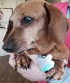 Ruby Rayburn