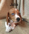Julia Prost