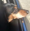 Cooper Copper