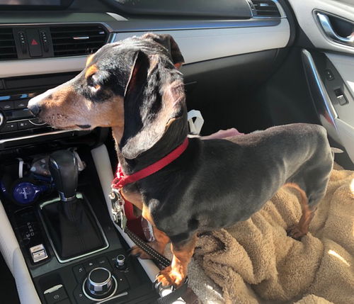 Cooper Copper