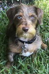 Stryke Lynch