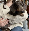 Dixie Dickens