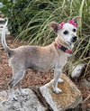 Minnie Karbach