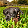 Prissy Missy Green
