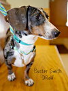 Buster Smith