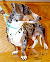 Buster Smith