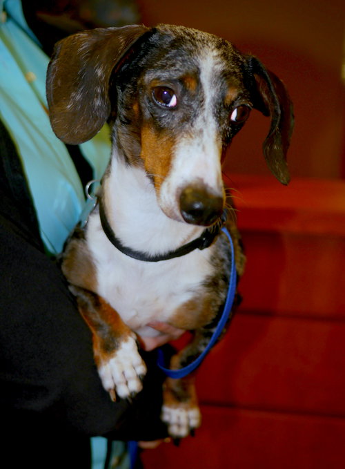 Buster Smith