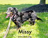 Missy Jewel
