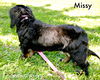 Missy Jewel