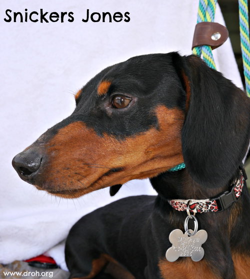 Snickers Jones