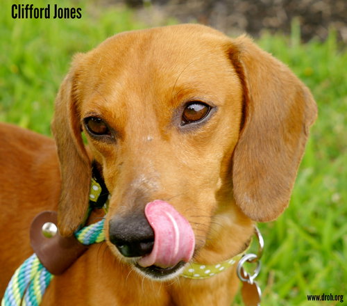 Clifford Jones