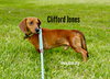 Clifford Jones