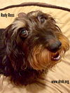 Rudy Ross