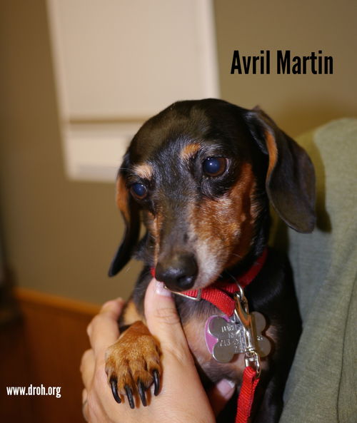Avril Martin