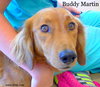 Buddy Martin