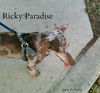 Ricky Paradise