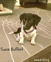 Suzie Buffett