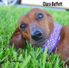 Clara Buffett