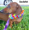 Clara Buffett