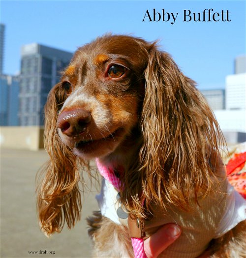 Abby Buffett