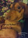 Henry Buffett