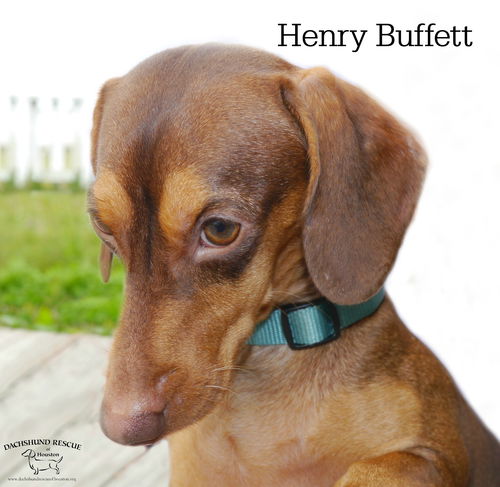 Henry Buffett