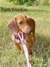 Faith Winslow