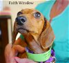Faith Winslow