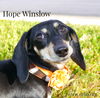 Hope Winslow