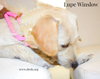Lupe Winslow