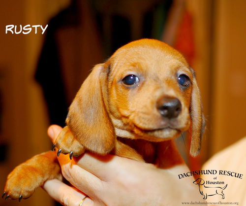 Rusty Buffett-Winslow