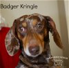 Badger Kringle