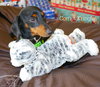 Comet Kringle
