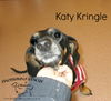 Katy Kringle