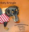 Katy Kringle