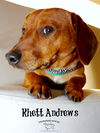 Rhett Andrews