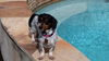 Dottie Earnhardt