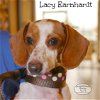 Lacy Earnhardt