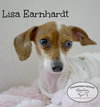 Lisa Earnhardt