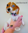 Lisa Earnhardt