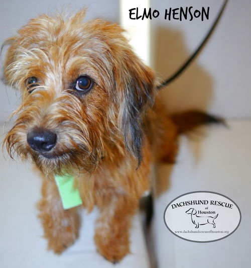 Elmo Henson