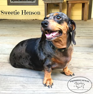Sweetie Henson