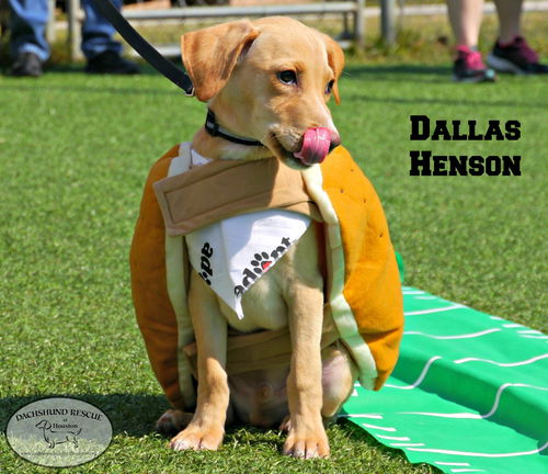Dallas Henson