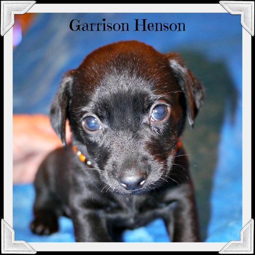 Garrison Henson