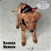 Ranger Henson